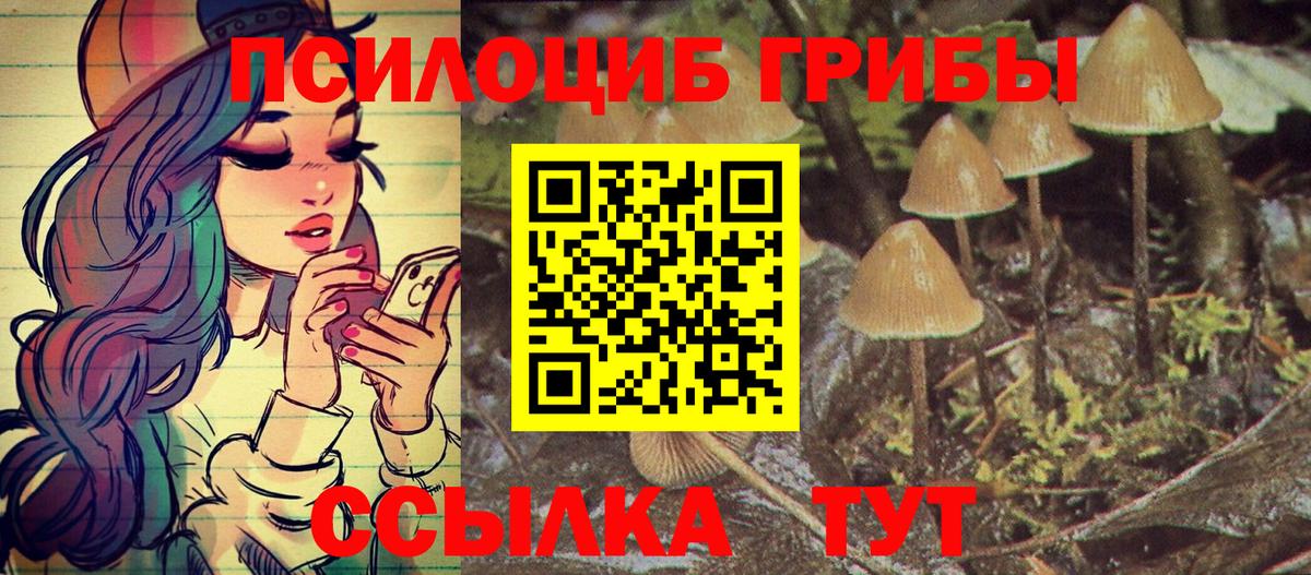 Псилоцибиновые грибы Psilocybine cubensis  купить  цена  Малоярославец  Вход с VPN  Псилоцибиновые грибы Magic Shrooms 