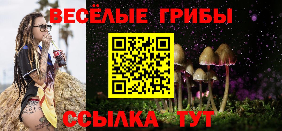 Псилоцибиновые грибы Cubensis Малоярославец